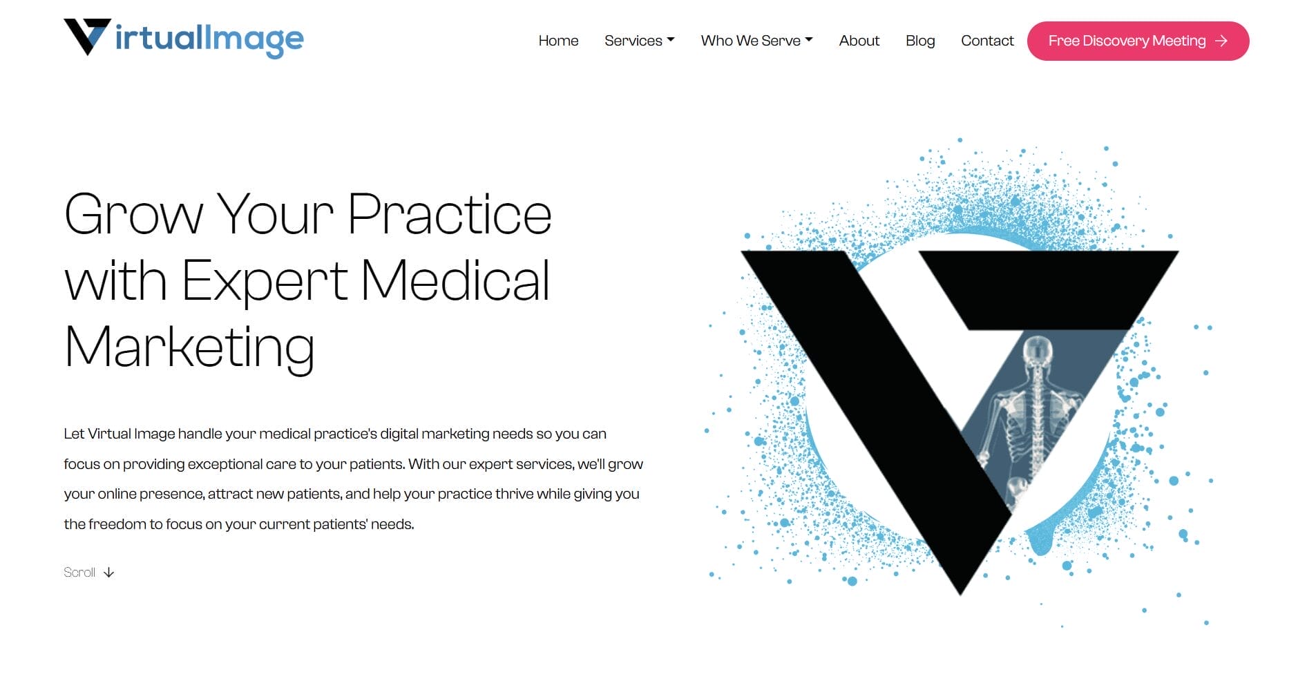 Virtual Image, marketing agencies Hamilton