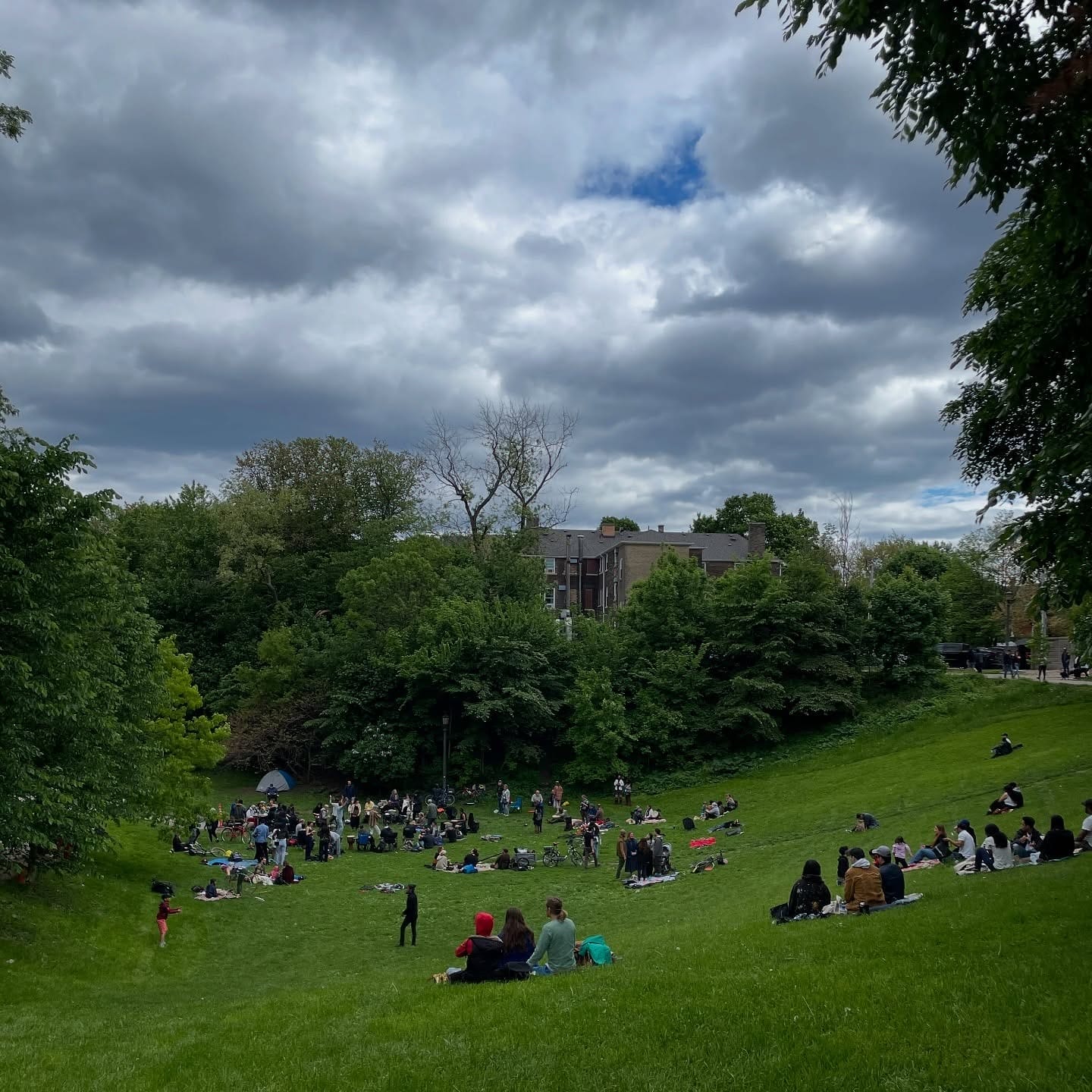 Best Parks in Toronto for Summer Festivals