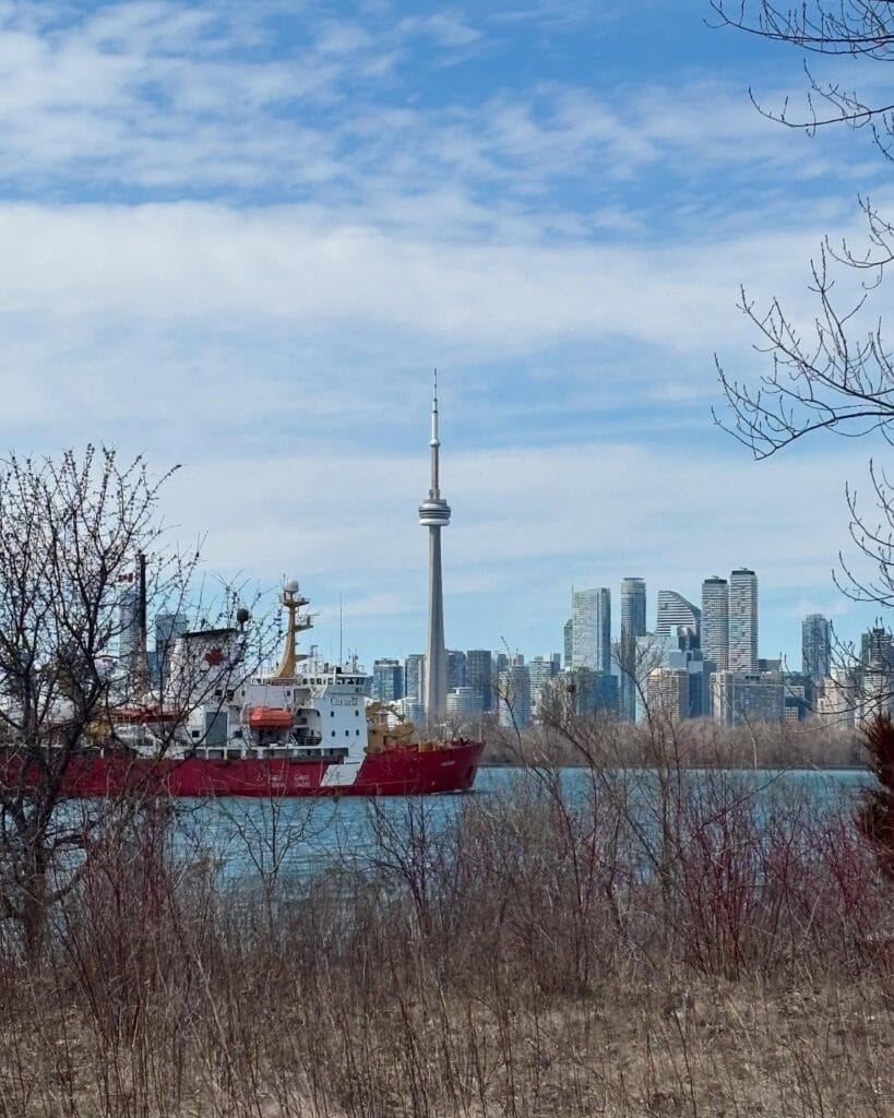 Best Parks in Toronto for Summer Festivals