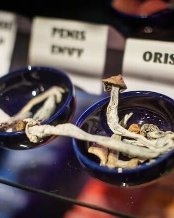 Man Acquitted of Sexual Assault After Magic Mushrooms Defense