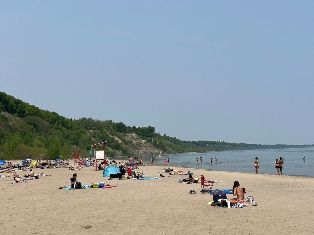 Best Parks in Toronto for Summer Festivals