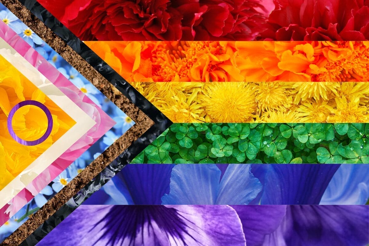 Pride Month Events in Toronto