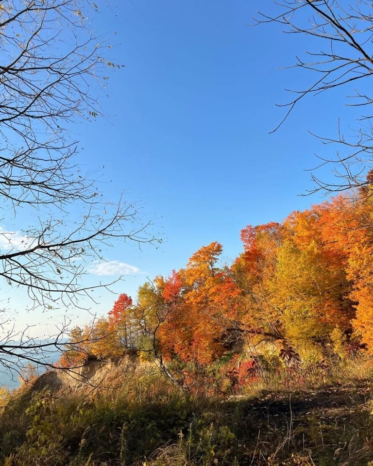 Best Things to Do in Scarborough This Fall