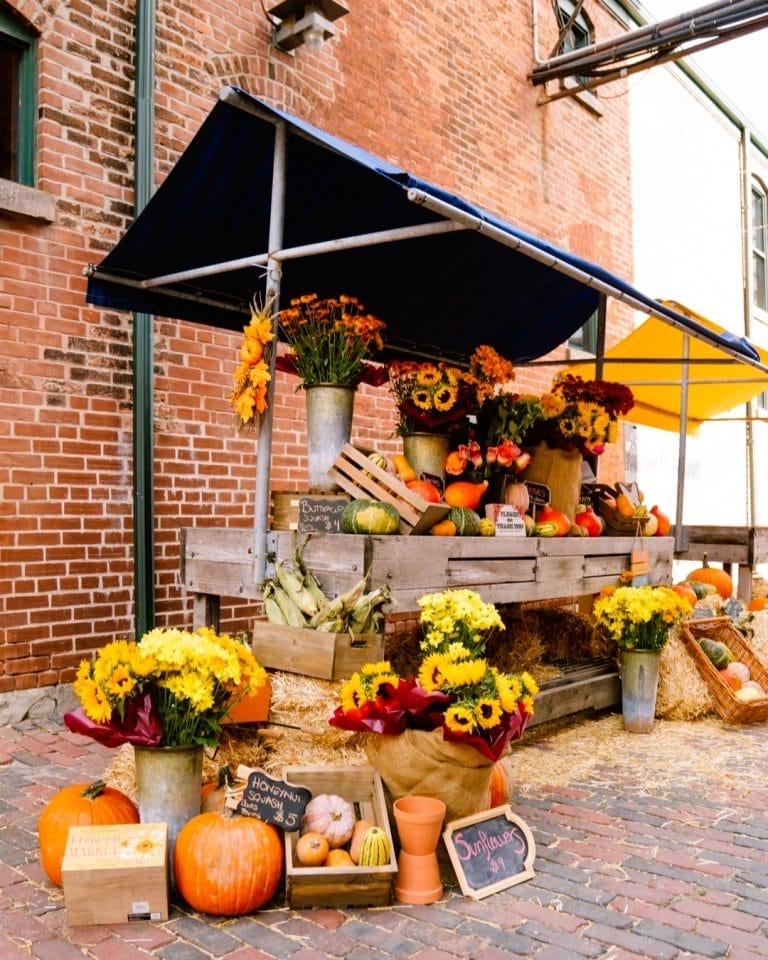 20+ Best Fall Activities in Toronto This 2025