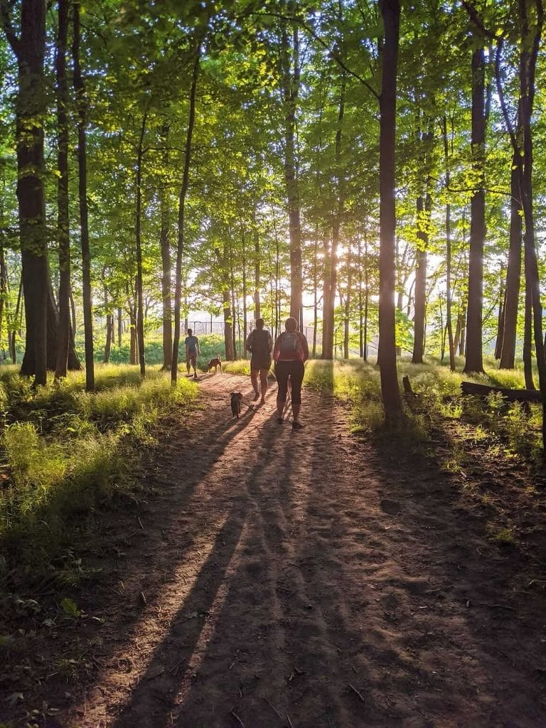 Best Things to Do in St. Catherines This Summer (Ontario)