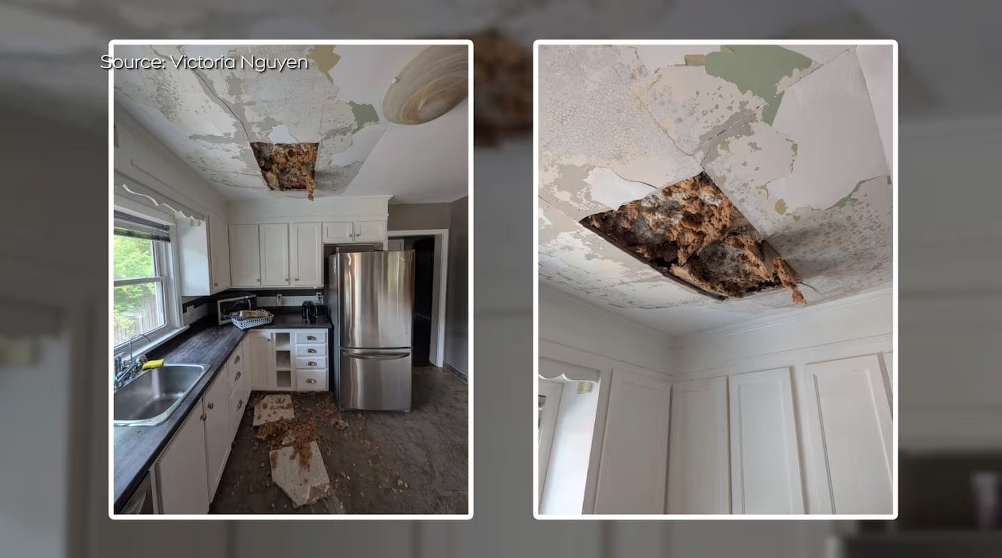 Ceiling Collapse