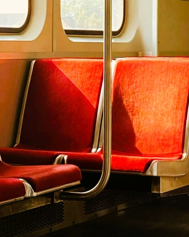 Torontonians Alarmed by TTC Bed Bug Video That’s Going Viral