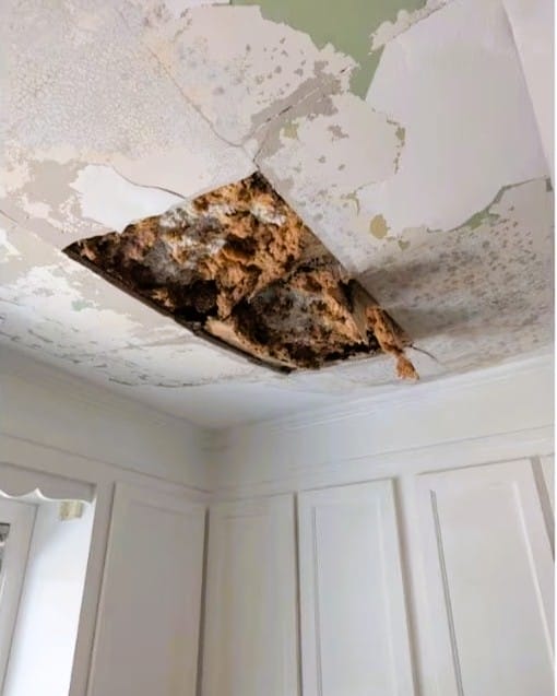 Ontario Woman Shares Warning After Near-Miss Ceiling Collapse at Airbnb