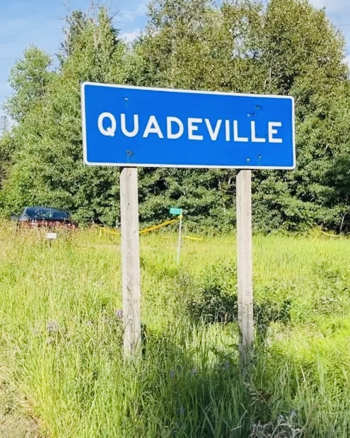 Teen Charged With Attempted Murder and Sexual Assault in Attack on 8-Year-Old in Quadeville, Ontario