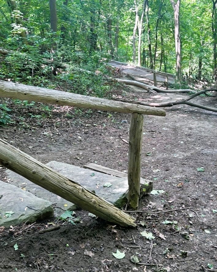 Toronto Trail Restoration Project Receives $35M Boost from Community Groups