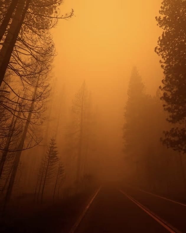 U.S. Lawmakers Blame Canadian Wildfire Smoke for Ruined Summers