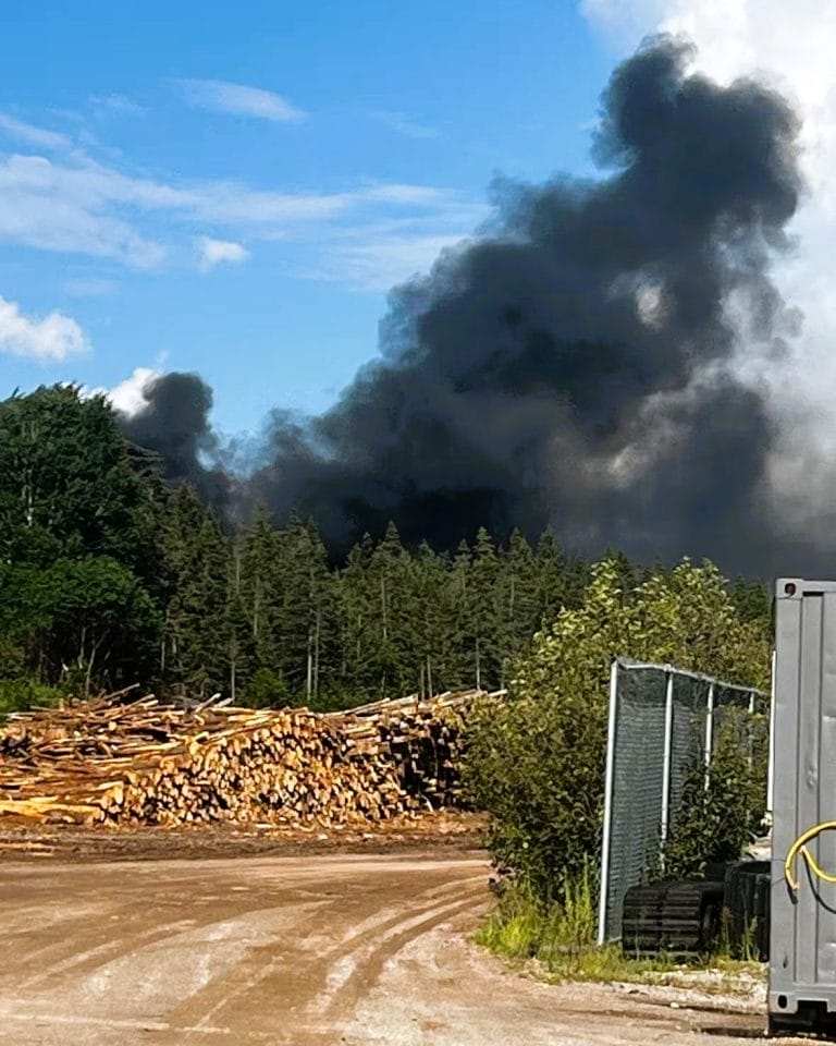 Fatal Small-Plane Crash Near Deer Lake, N.L. Leaves One Dead, Investigation Underway