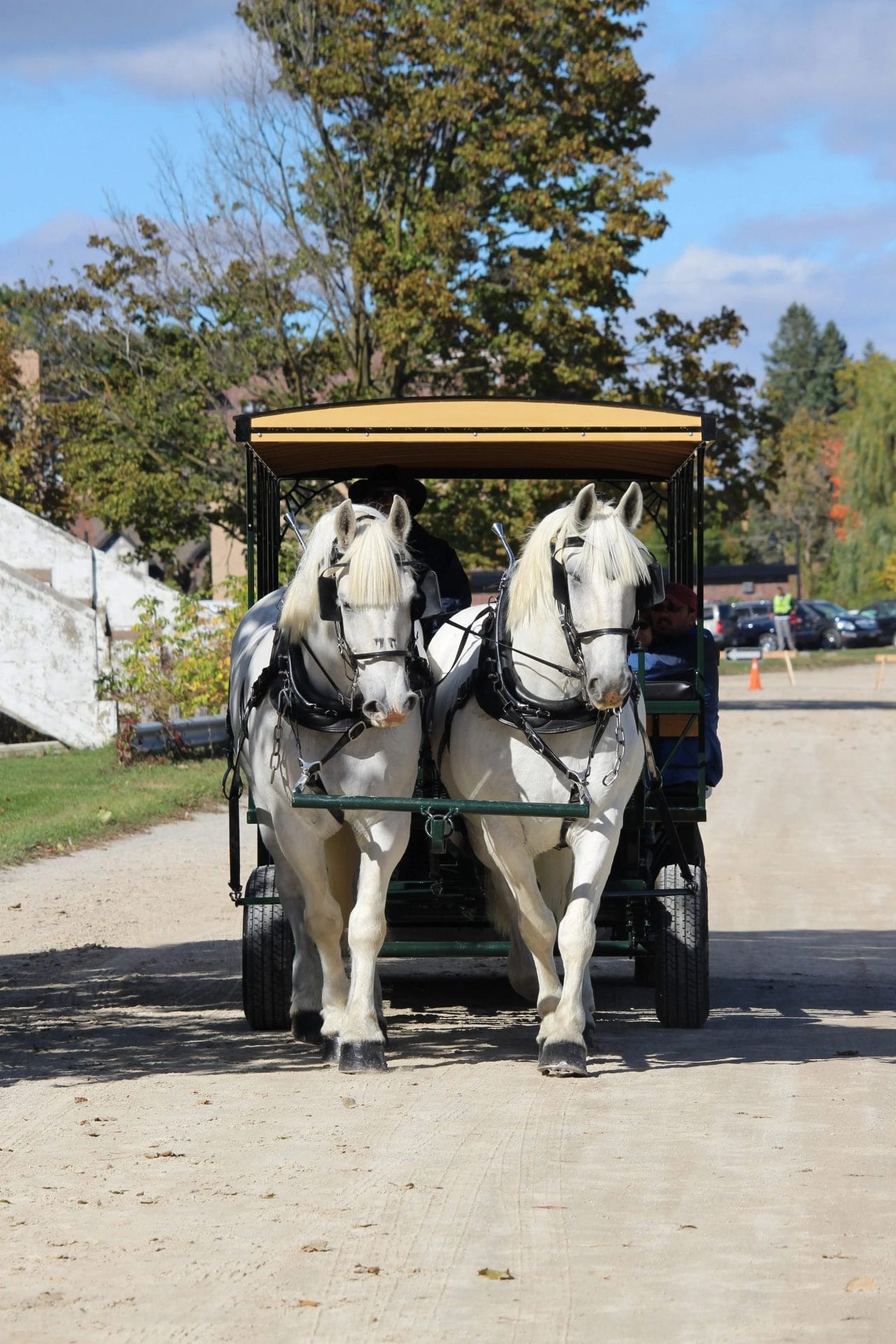 Woodbridge Farmer’s Market, best things to do in Vaughan this fall