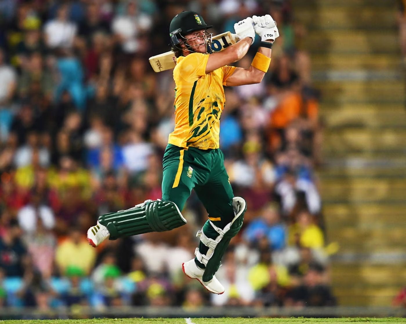 Dewald Brevis