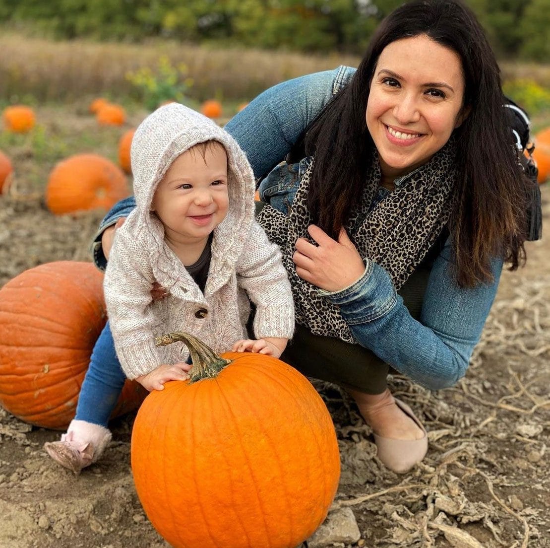 Pumpkins & Corn Walk at Robintide Farms, best things to do in Vaughan this fall