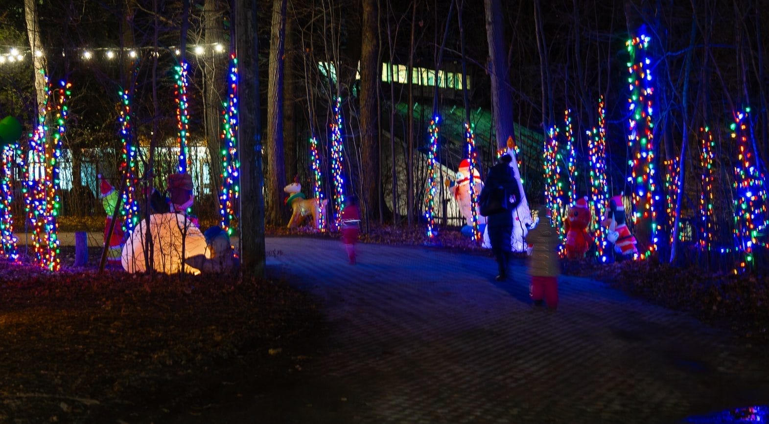 Magical Christmas Forest at Kortright Centre, best things to do in Vaughan this winter