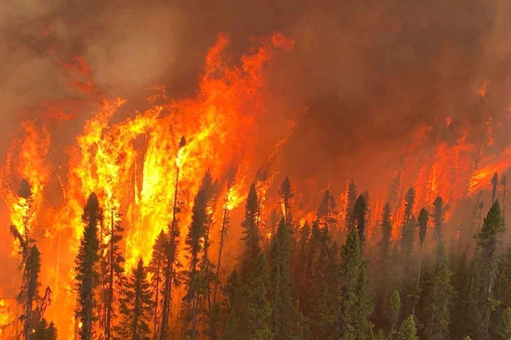 Ontario Wildfire