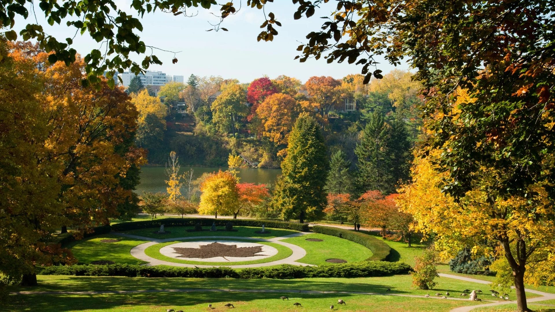 High Park, best things to do with kids around Toronto