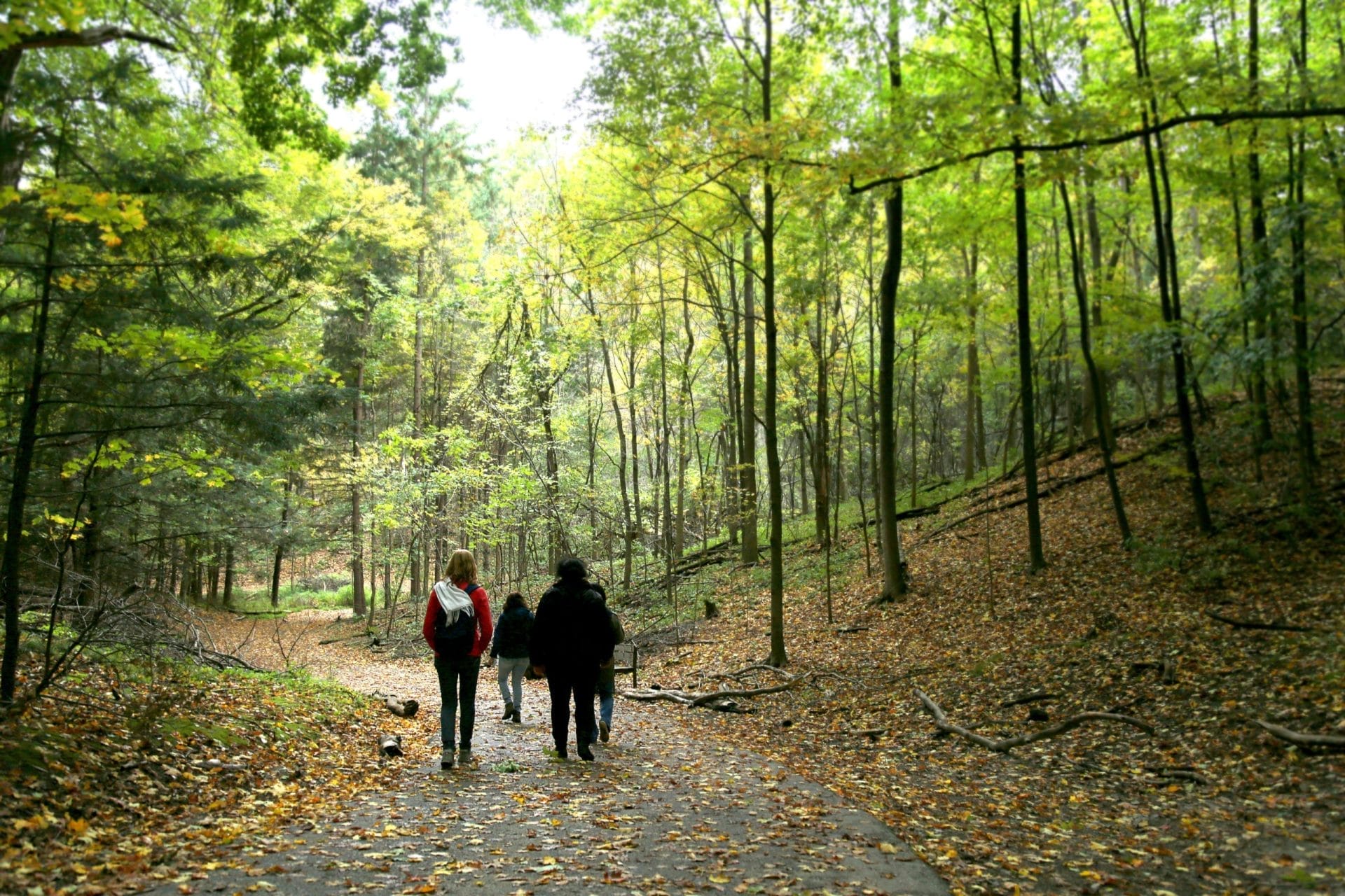 Kortright Conservation