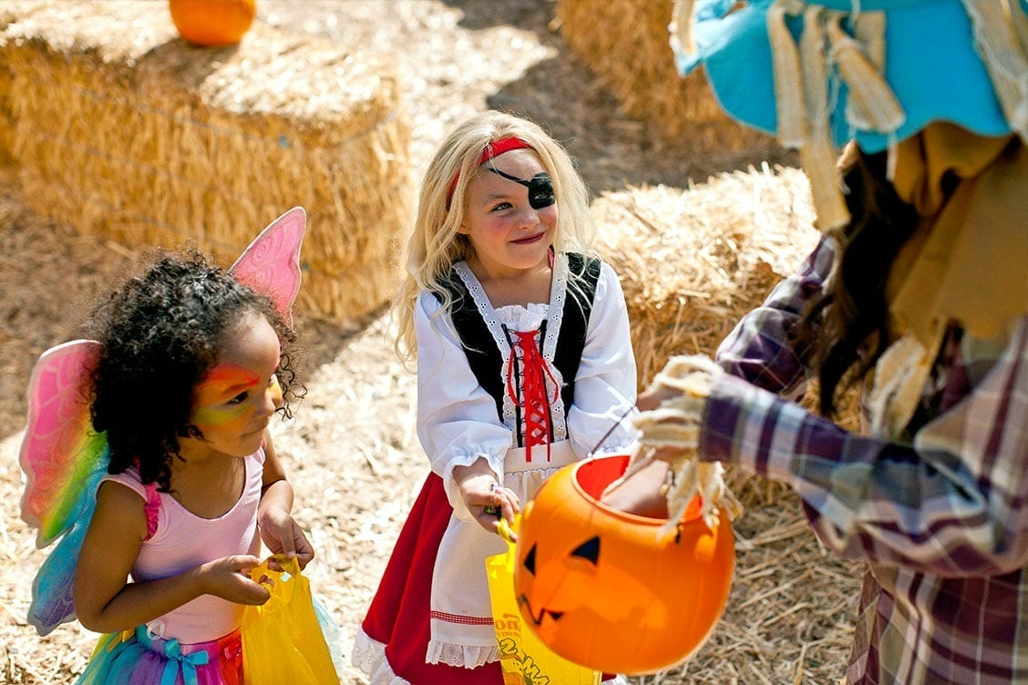 Camp Spooky Canada’s Wonderland 2025