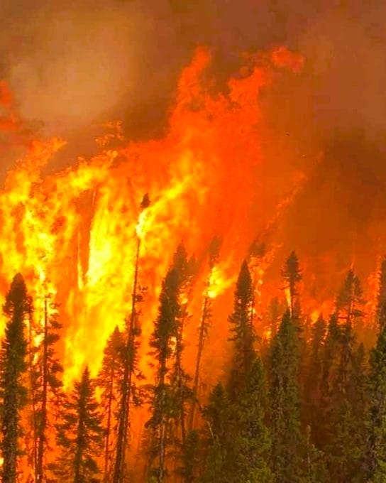 Ontario Wildfire Update: Rain Slows Red Lake 99, New Fires Reported in Northwest and Northeast