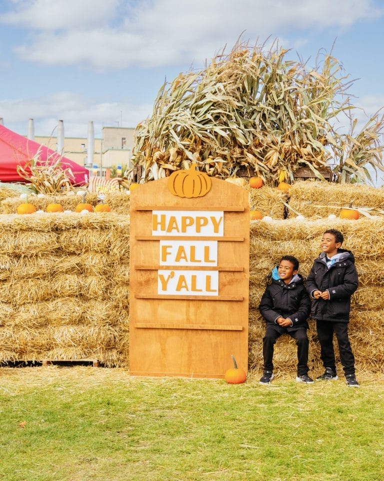 The Best Things to Do in North York This Fall