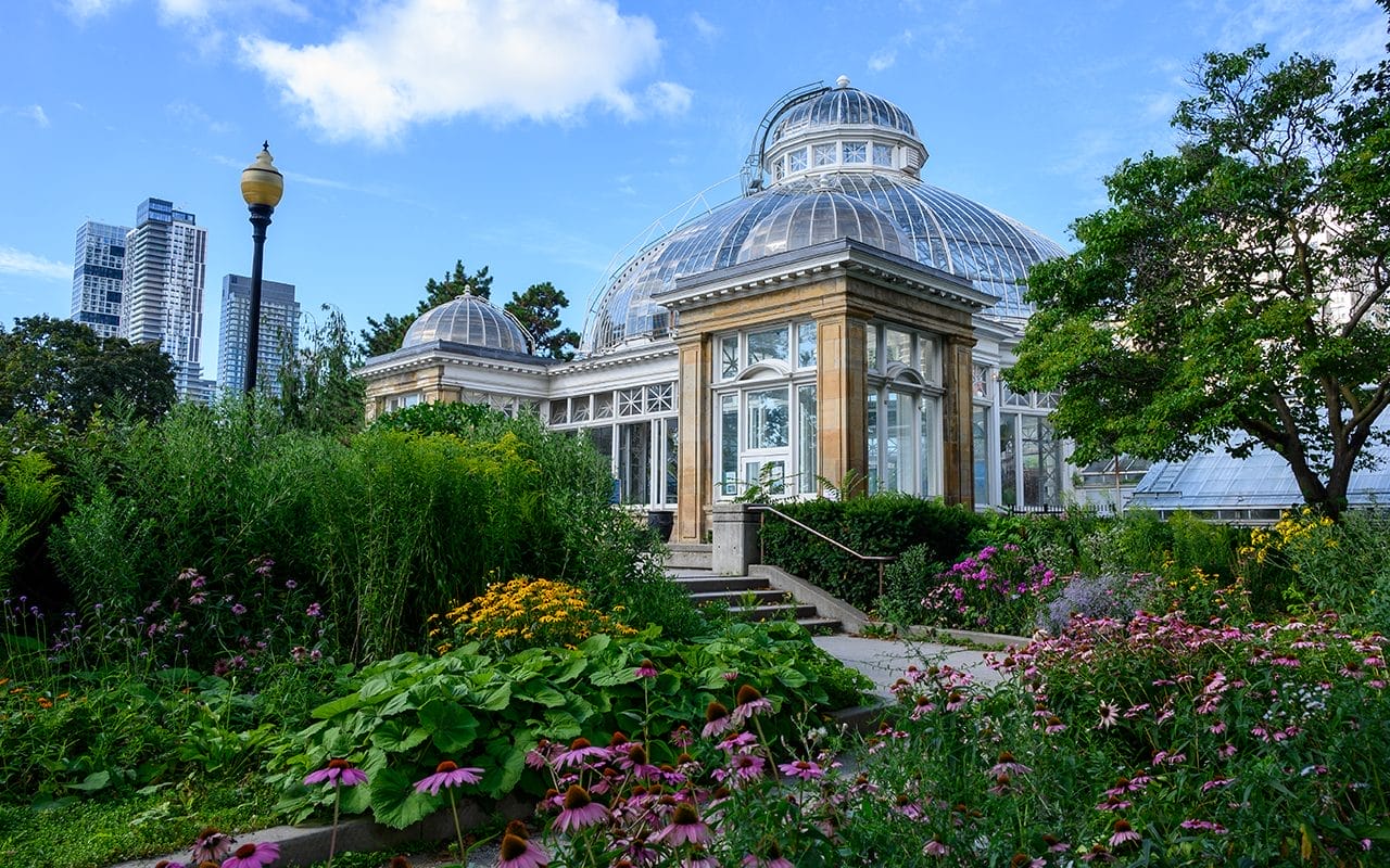 Allan Gardens Conservatory