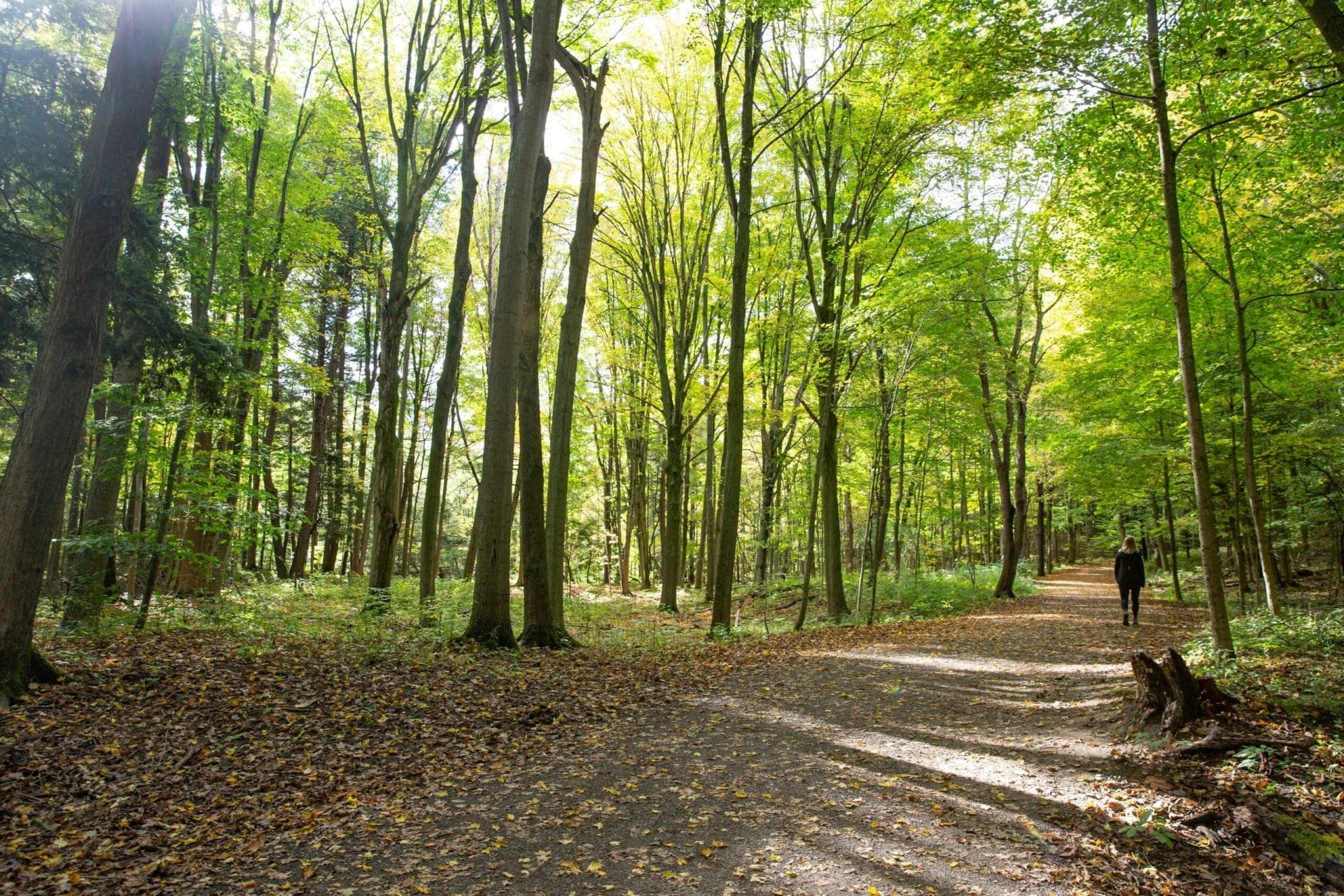 Dundas Valley