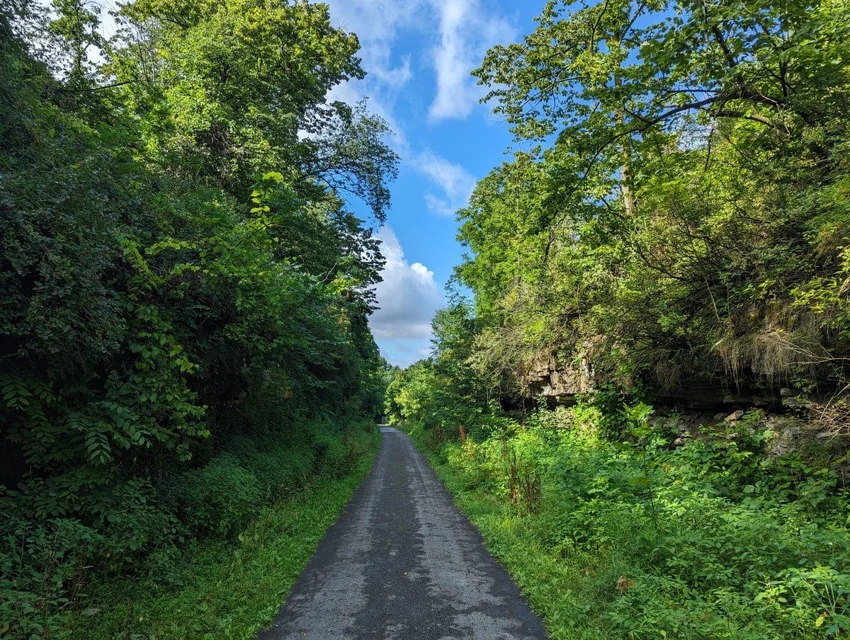 Escarpment Rail Trail