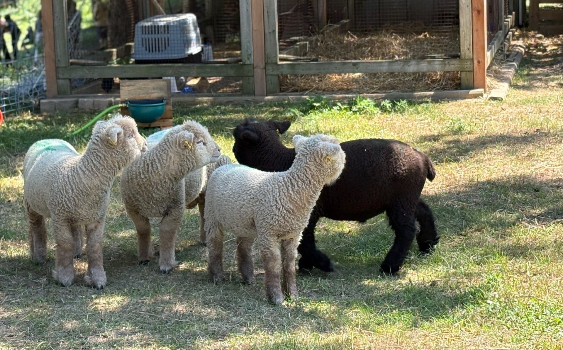 Farm Crawls