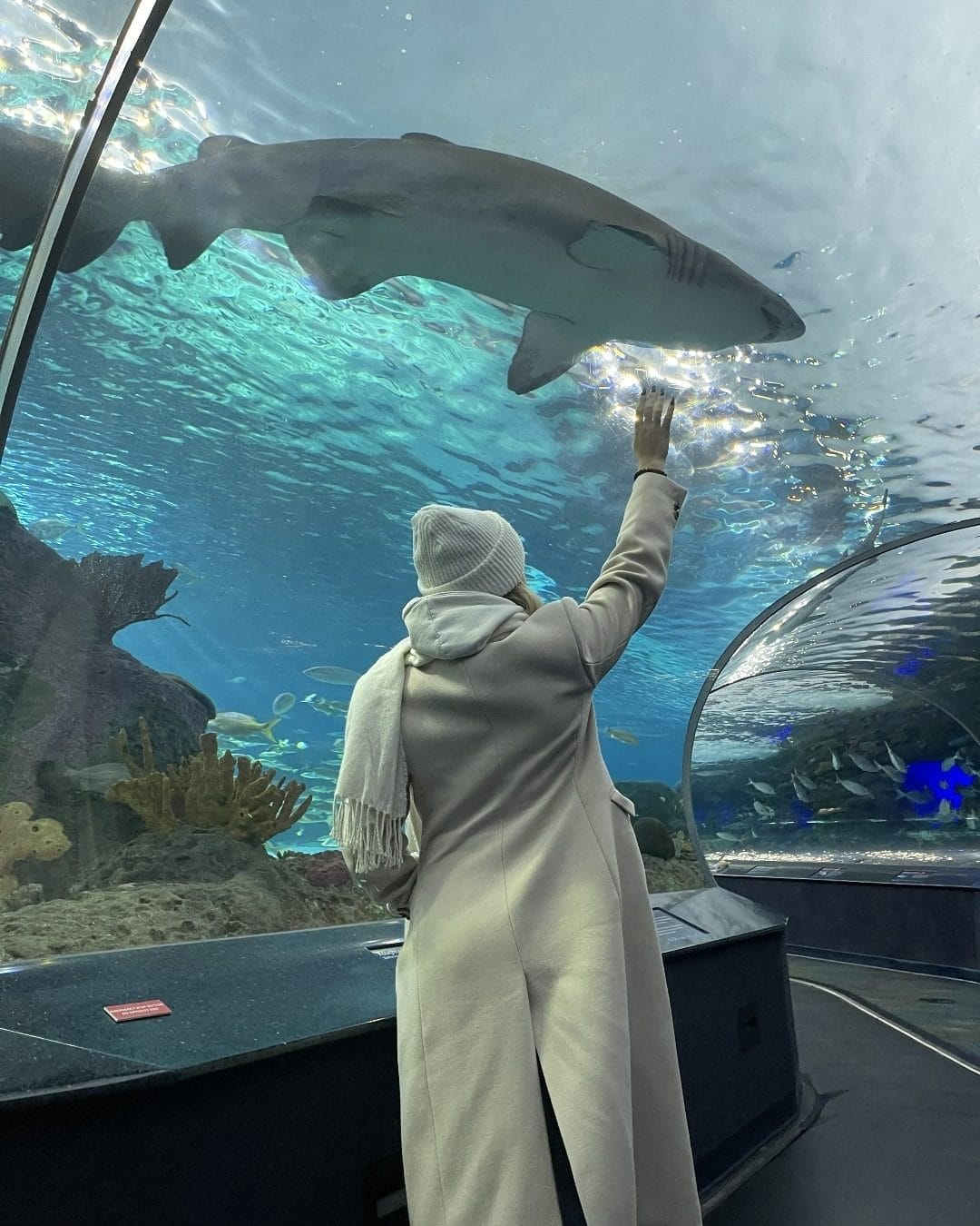 Indoor Attractions in Toronto Winter