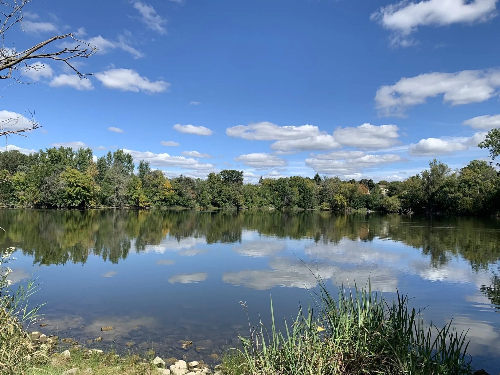 Austin Drive Park