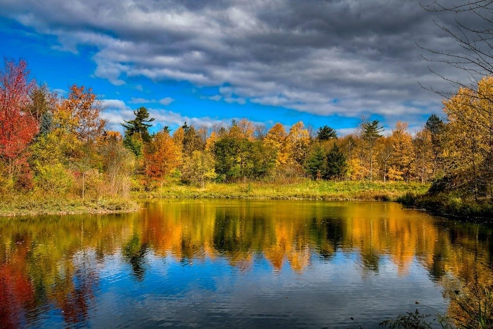 Macrill Pond