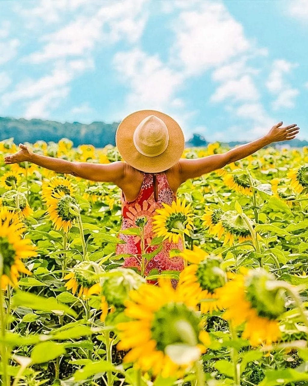 best-things-you-don-t-want-to-miss-this-summer-in-markham-over-here