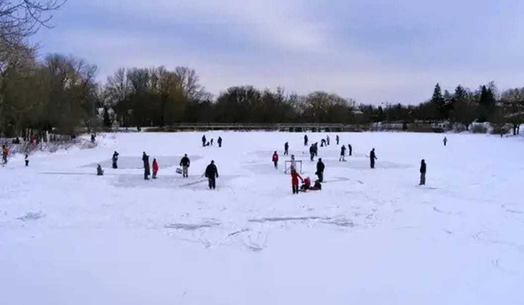 Toogood Pond Park