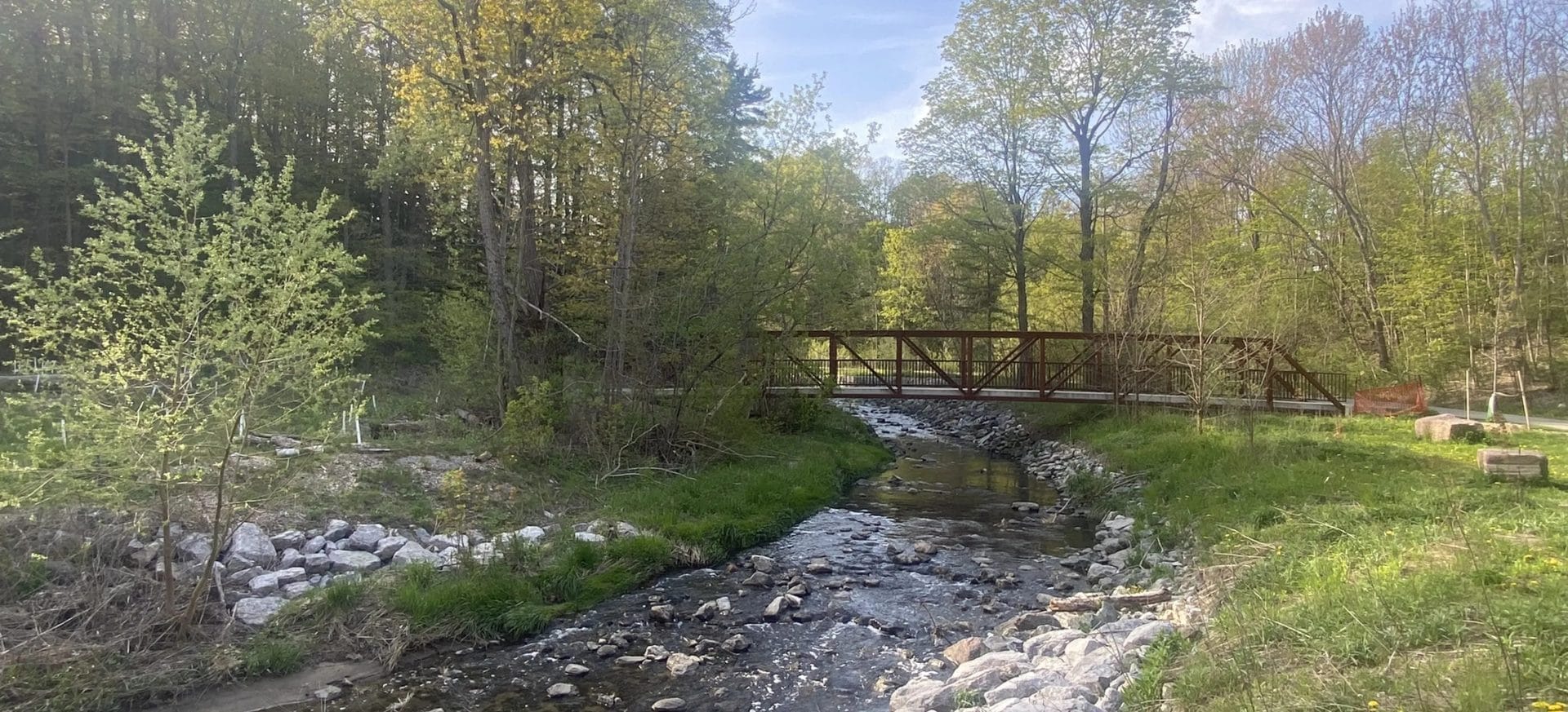 Wilket Creek Recreational Trail