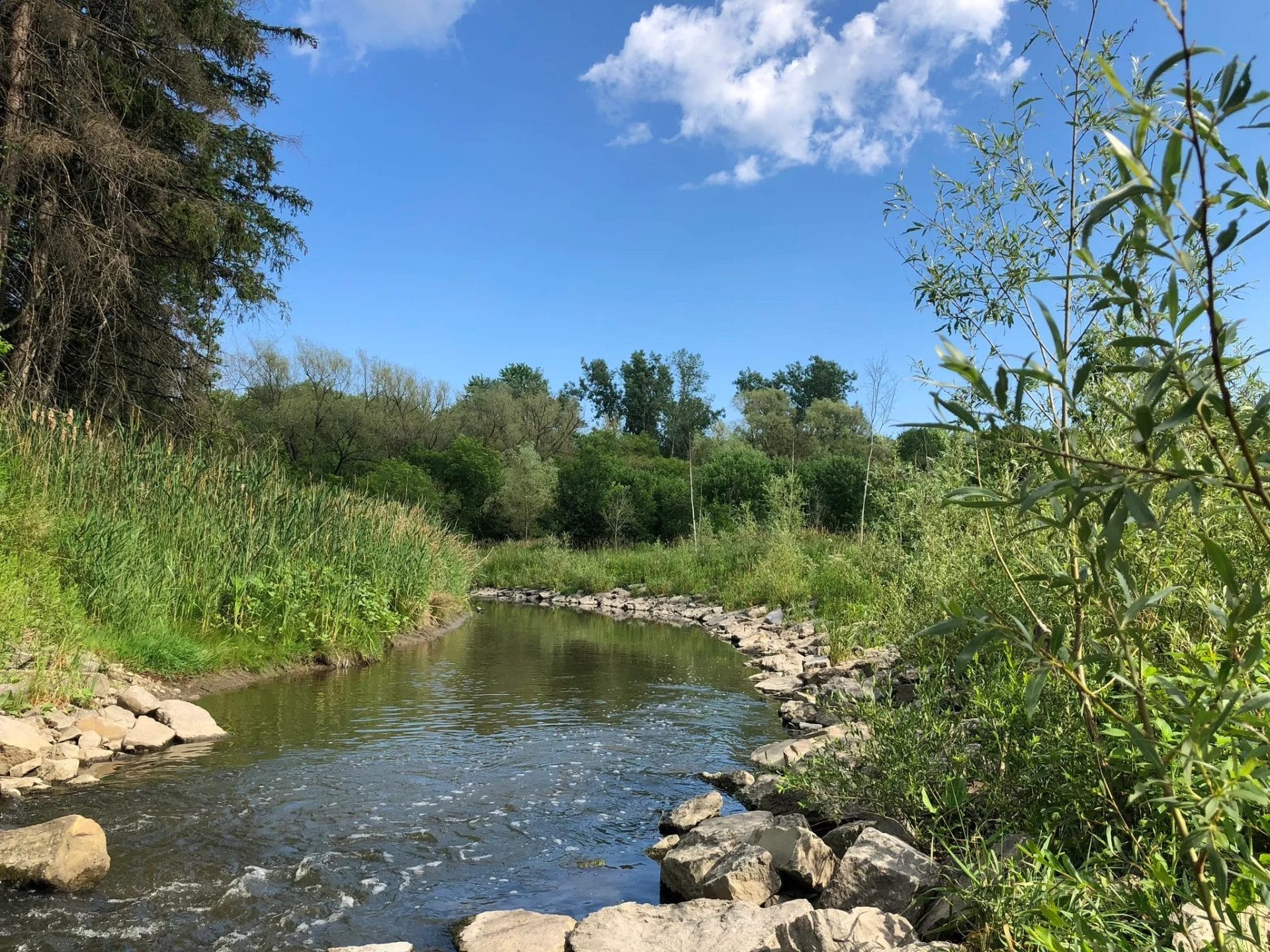Finch Recreational Trail