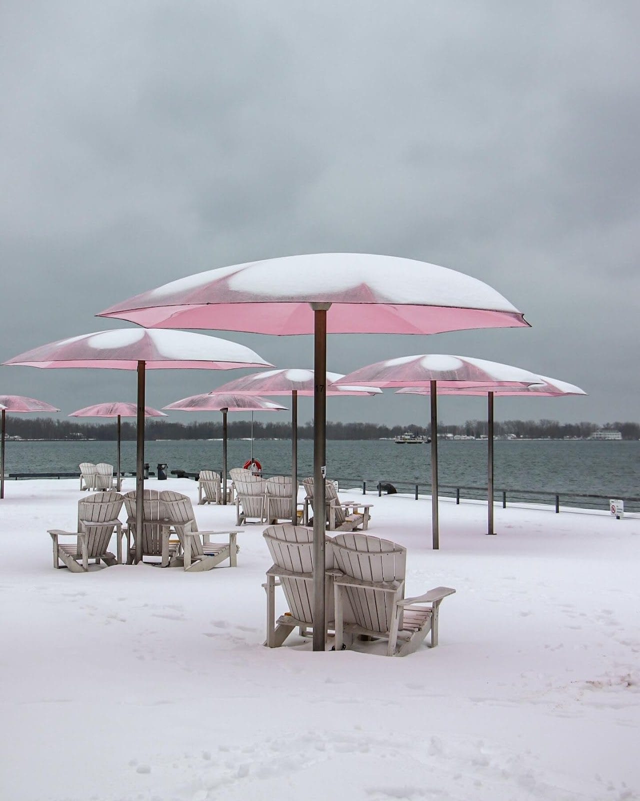 Winter Photography Spots in Toronto