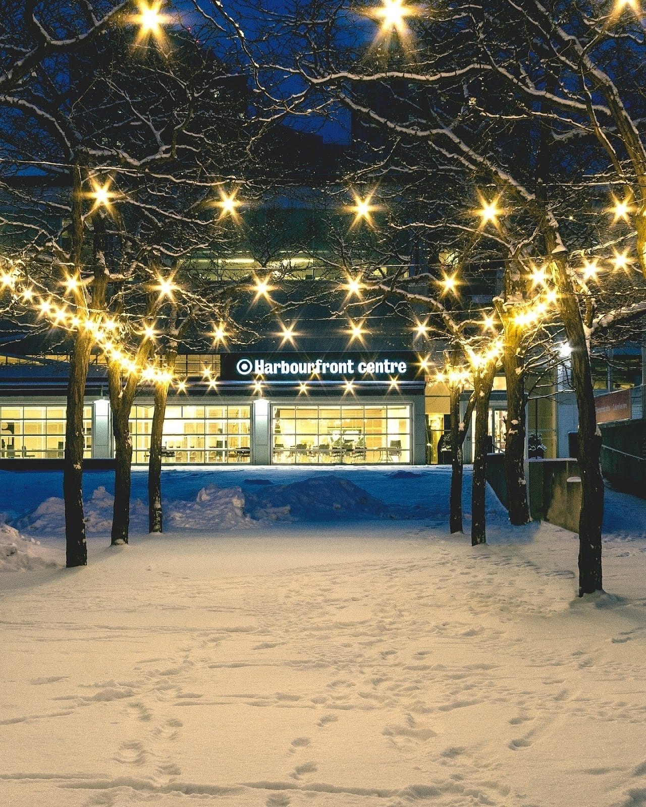 Winter Photography Spots in Toronto
