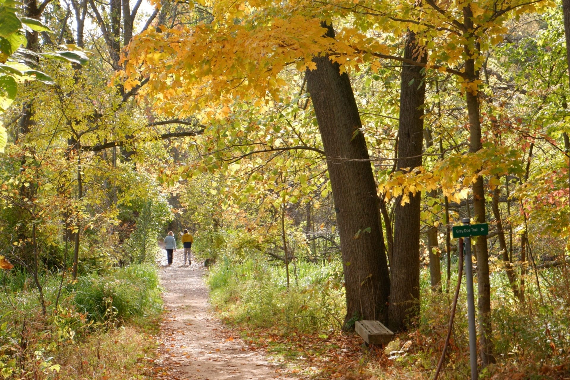 Royal Botanical Gardens 