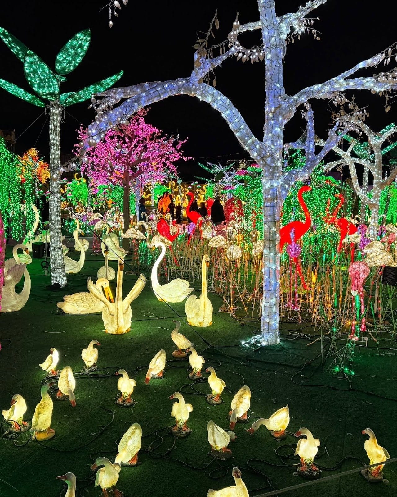 Best Holiday Light Displays in Toronto