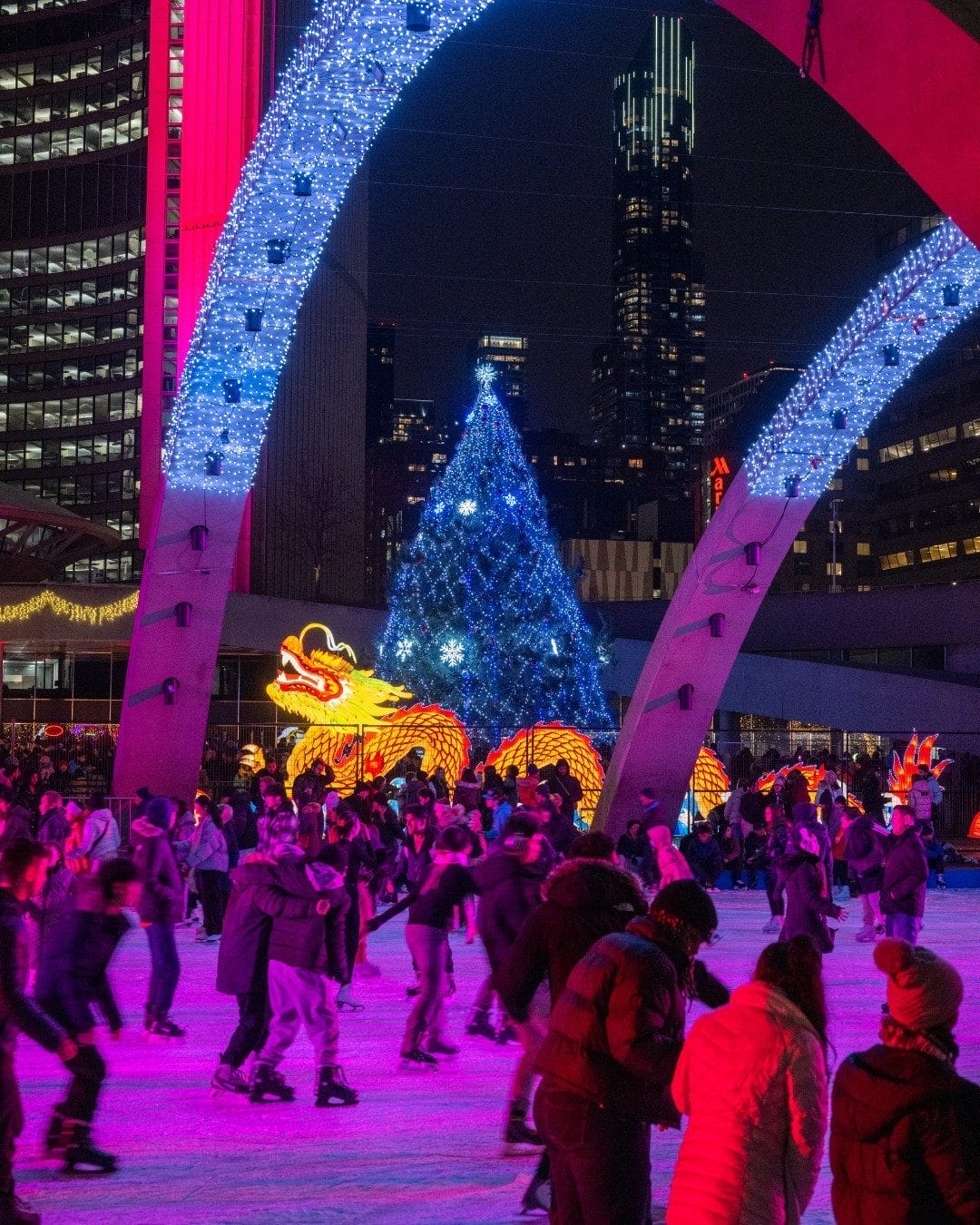Best Holiday Light Displays in Toronto