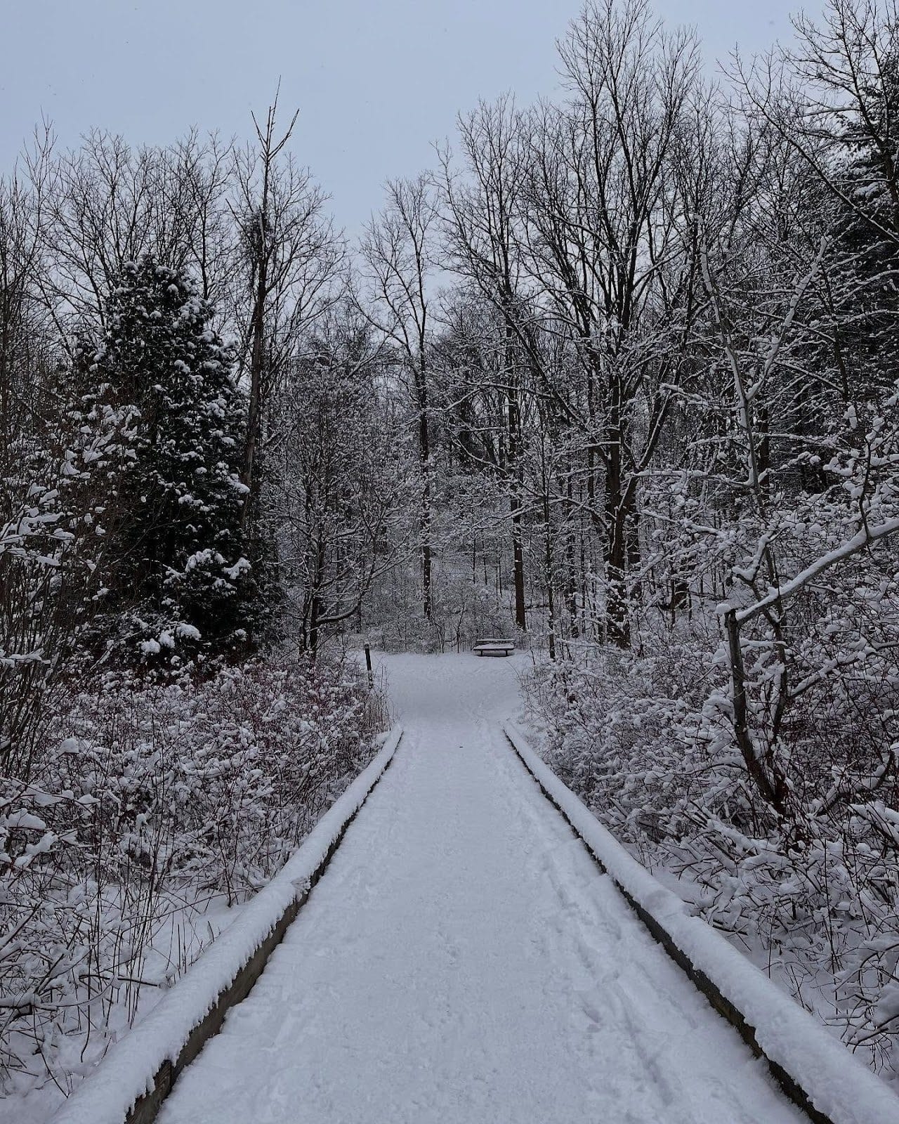 Winter Hiking Trails in Toronto