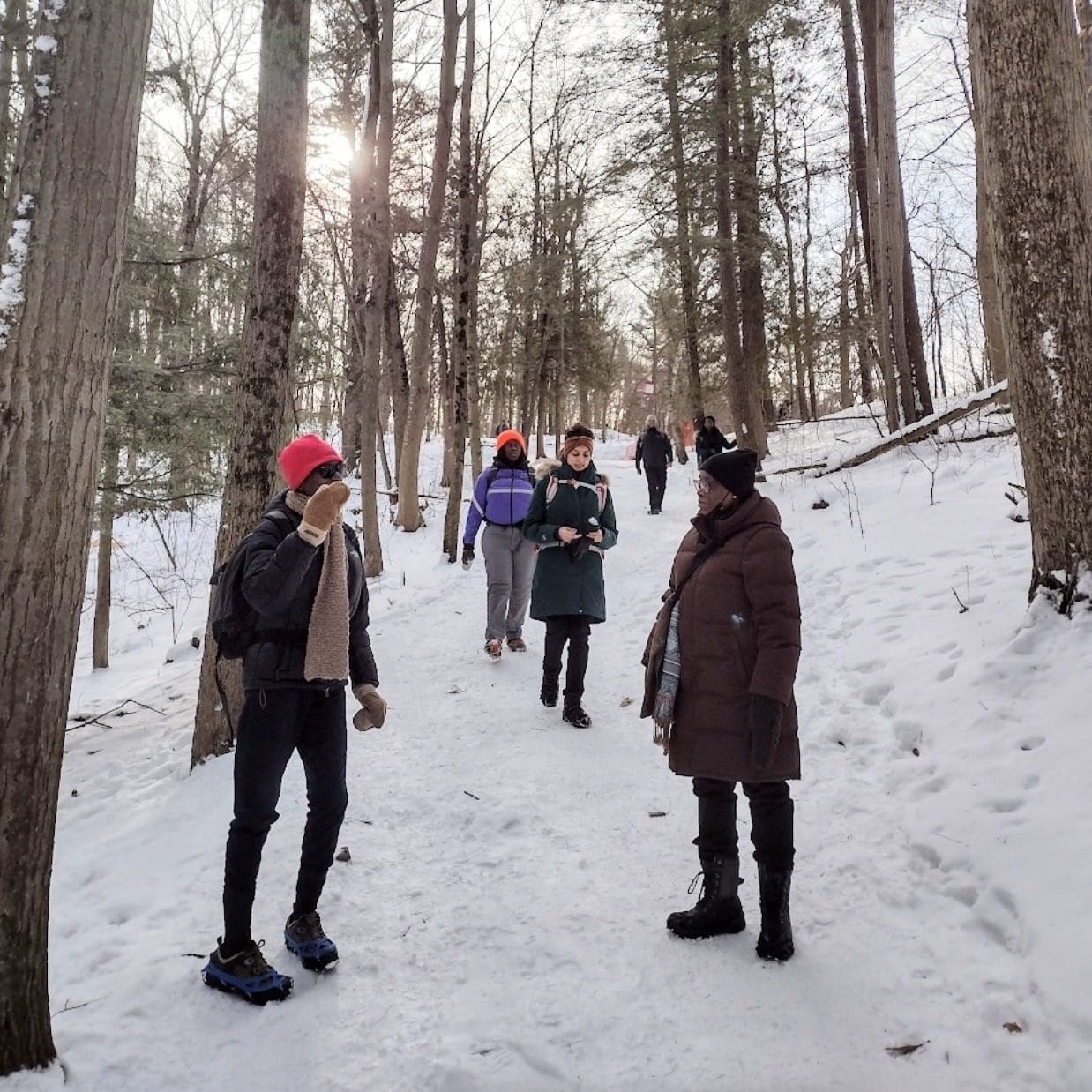 Winter Hiking Trails in Toronto