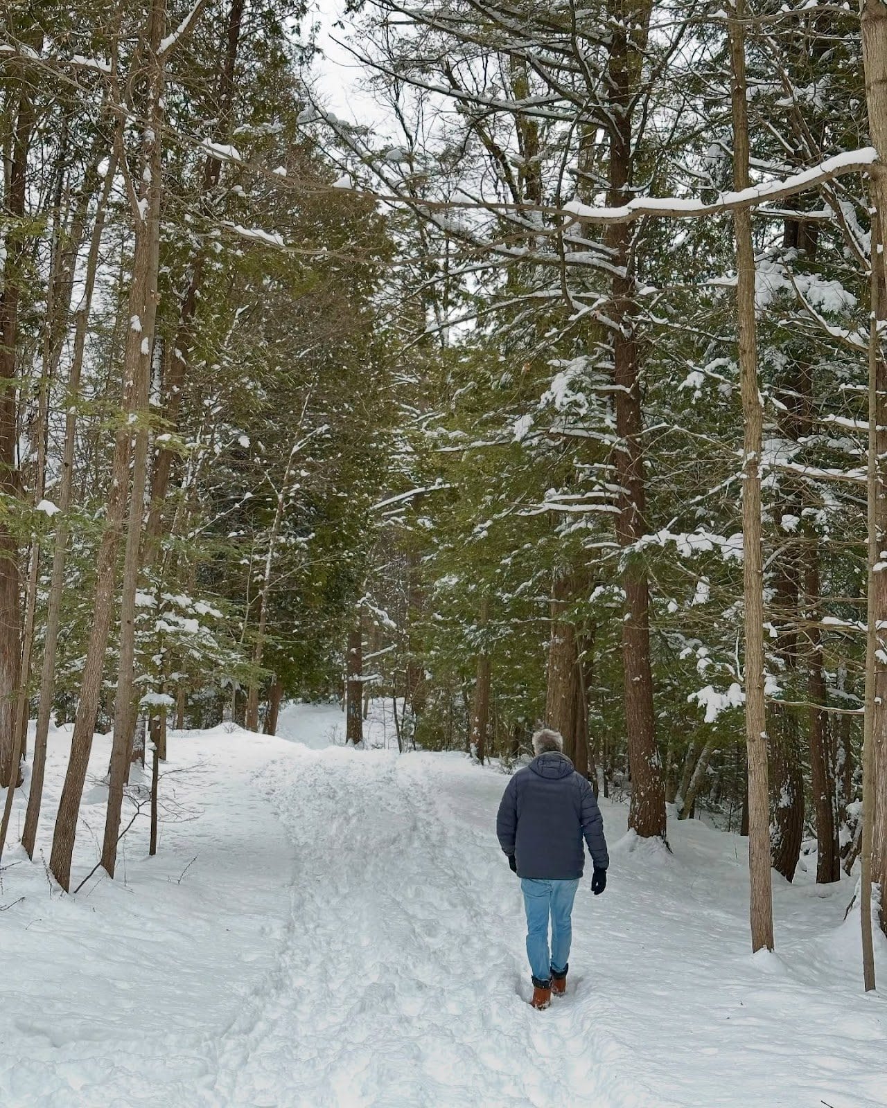 Winter Hiking Trails in Toronto