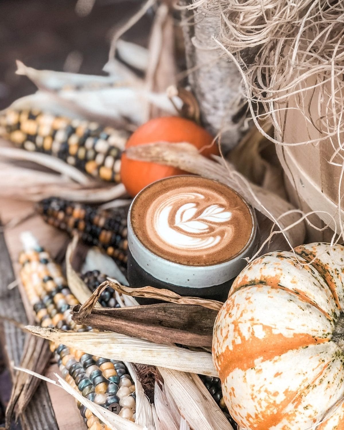 pumpkin spice latte toronto