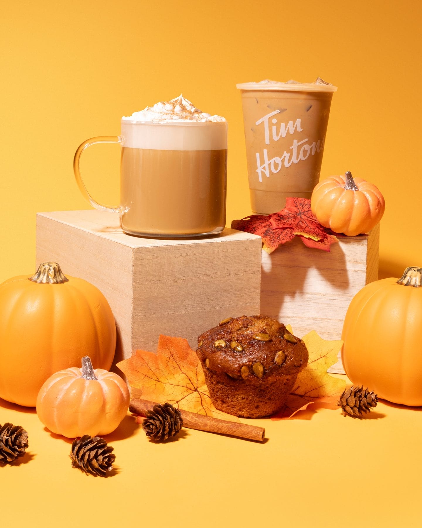 pumpkin spice toronto