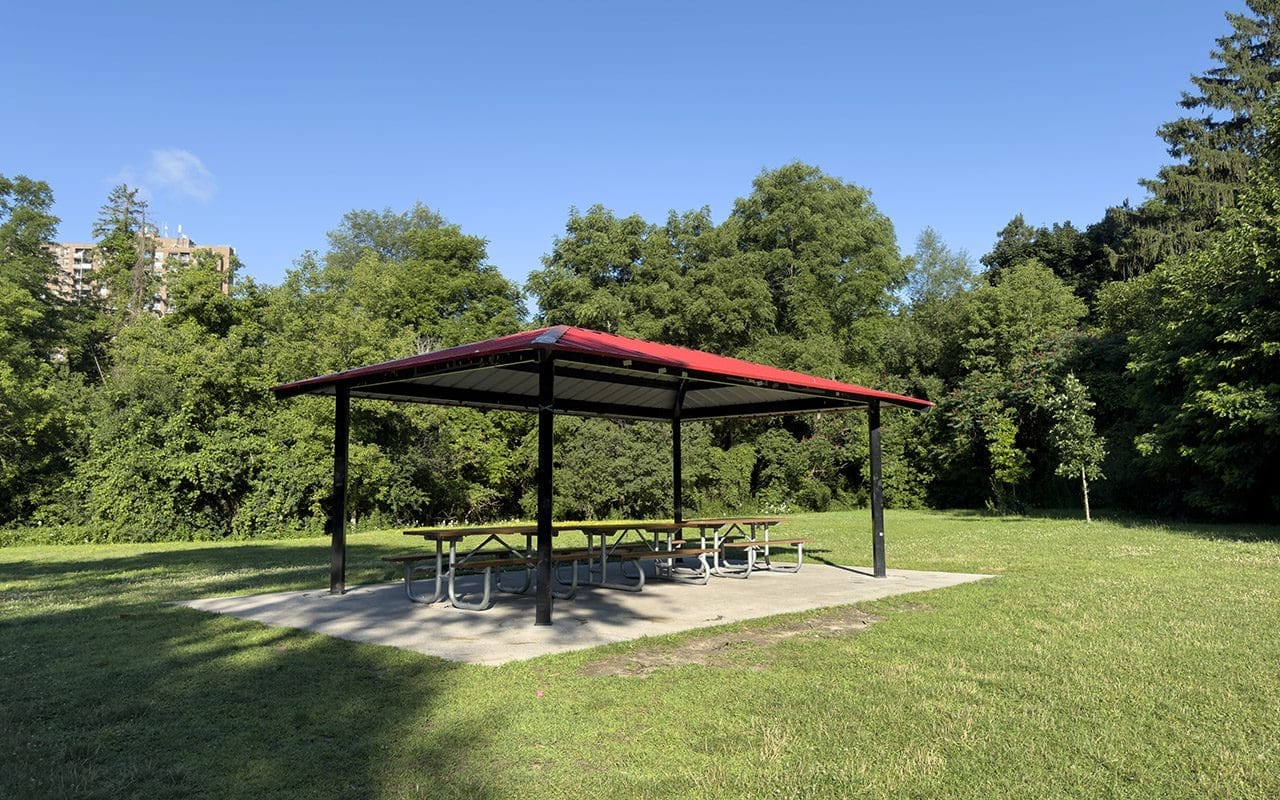 Earl Bales Park