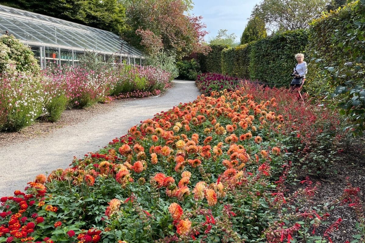 Toronto Botanical Garden
