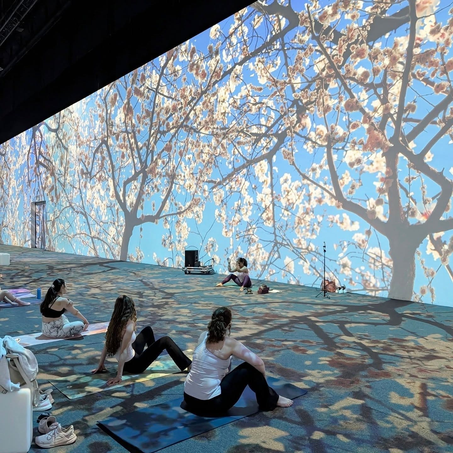 Best Winter Art Exhibits and Shows in Toronto